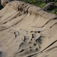 岩層中的物質也有抗侵蝕能力的差異，因此受到風化作用之後並不一定呈現平滑的景致。本照片為小野柳的砂岩受風化後，經差異侵蝕形成的小地形景觀。