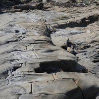 海水沿著節理面入侵單斜脊的岩石，但不像豆腐岩一樣具有較筆直、整齊的節理面，因此侵蝕後的形狀較不一致，如同排列整齊的龜背一樣，被稱為龜陣岩。