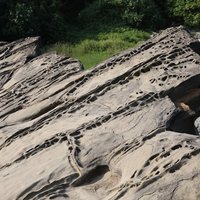 原本水平的岩層，因抬升作用的不平均而造成傾斜，形成小型的單斜脊。除了單斜脊地景之外，也可以看到抬升之前海水侵蝕而形成的龜陣石以及風化窗。
