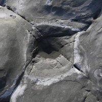 壺穴可分為河成壺穴以及海成壺穴，海成壺穴通常會需要砂石或其他物質協助侵蝕作用的進行。本照片可以看出岩石被侵蝕的主要位置是兩組節理相交之處。