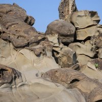 照片中可以看到薑石與下方岩層有明顯的上下分層，表示岩性有所差異。薑石只有部分的蜂窩岩發育其上，形成奇岩怪石的地景。可以說明岩層組成、膠結不同，因差異侵蝕而成。