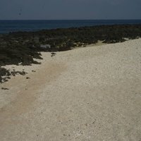The beach is located on the southeast of Dongjiyu Island. The beach is about 100 meters. The beach is mainly composed of foraminifera and coral or shellfish debris, and there are basalt beach rocks in front of the beach. At low tide, the basalt in front of the beach emerges, forming a beach with a strong contrast of dark and light colors.