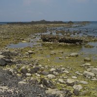 Inter-tidal zone during the low tide