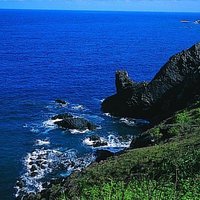 The Shishi, located next to the Nanhu lighthouse at the southern end of the Qimei place, is the end of the lava after it flows out of the ground and becomes a tilted basalt joint. Later, it was eroded by seawater to form a lion-like landform. The locals are therefore called 
