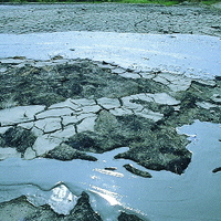 Mud erupted from a mud volcano on the top of Wushan in Kaohsiung. After the mud erupts, the mud will crack due to shrinkage. Into a dynamic landscape with beautiful beauty.