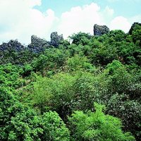 Located on the southeast side of Jinshan Elementary School, Jinshan Mountain, Jinshan Village, Yanchao Township, Kaohsiung County. Its steep, towering hilltops have residual limestone at the top and conglomerate at the bottom. It is washed and eroded by rain to form this unique cockscomb shape. This limestone occupies a small volume, but was once the target of miners.