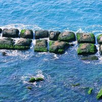在野柳西北部，常見於沿相互垂直交織的兩組凝結物由海水流動和侵蝕形成的豆腐岩石。