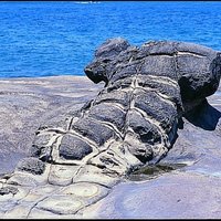 炸雞腿
姜岩石的形狀像炸的雞腿，而形成的原因與第二區域的龍巖周圍的那些雞腿形的岩石相同