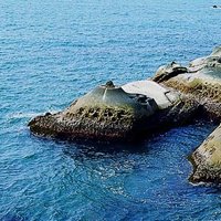 照片中的小地景，與地球石和燭台石的形成原因相似，都是侵蝕作用露出核心形成的地景。下方接近海水面位置的岩層則因為海水的侵蝕作用以及生物作用，形成類似蜂窩岩的小地景。