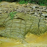 在薑石表面往往可以看到許多的節理，這是因為其上方的岩石被侵蝕掉，壓力減小而形成解壓節理。照片中的薑石有兩組平行節理，將薑石的表面切割，有如豆腐岩一般。