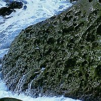 在接近海水面附近的岩層，長期受到海水以及生物的作用，在表面處形成凹凹凸凸的蜂窩岩小地形。
