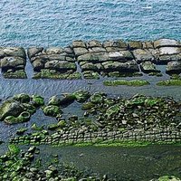 在野柳西北部，常見於沿相互垂直交織的兩組凝結物由海水流動和侵蝕形成的豆腐岩石。