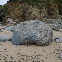 異石
地殼運動將較老的岩石帶入流動的岩漿。 結果，人們可以找到被較新的熱成岩包裹的較舊的岩石。 當熱解岩石中存在各種較舊的岩石時，該岩石稱為異種岩。 異石最常見於東州扶正海灘潮間帶。