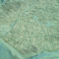 台灣東北角地區的鼻頭角的生痕化石景觀。生痕化石說明過去沈積物沈積時，生物活動所留下的種種痕跡，本照片係於東北角海岸的鼻頭角地區所拍設的沙棒景觀。
