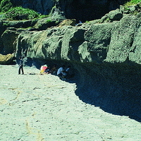 Differential erosion of the Bitoujiao in the northeast corner of Taiwan. Due to the phenomenon of differential erosion, relatively hard rocks protrude, while softer parts sag. Holidays even become a good place to shade and shelter from rain.