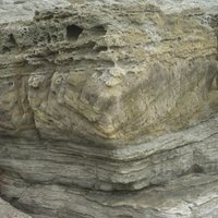 You can also see argillaceous sandstone layers and shale layers at the cape corner. These layers are relatively weak compared to sandstone layers, so many sandstones are often seen protruding from the surface. If you carefully observe the composition of the argillaceous sandstone, you can see many biomarked fossils, among which sand sticks are common biological drilling remains in this area.
