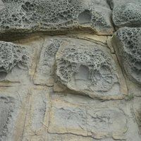 在砂岩上可以看到一顆顆像蜂窩狀的岩石，稱為蜂窩岩。岩石表層凹凸不平的原因，為生物在岩石上挖掘出小凹穴，加上含鹽分的海水積蓄在這些凹穴中，沿著凹穴的四周產生風化侵蝕而成。