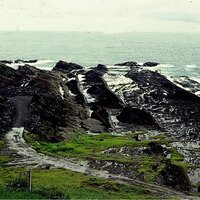 This fault on the Northeast Coastal Highway is located next to the Longdong South Exit Visitor Center. From the displacement of the rock formations in the picture, it can be seen that this is a fault moving to the left. 