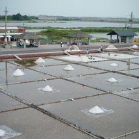 The area had splendid salt fields since 1784, which contributed to its fame in literature and ways of life. In which, the Jingzaijiao Tile-paved Salt Fields are the first salt field in Tainan’s Beimen area and they are also the oldest relics of tile-paved salt fields that still exist in the country.