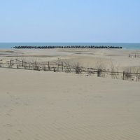 Dingtoue sandbank was affected by coastal erosion in the early stage. In 1998, the Water Conservancy Department set up 11 offshore dykes and set up some methods of separating and setting sand on the dunes to avoid continuous erosion of the coast in this section. At present, the sediment is continuously accumulated between the offshore bank and the sand bank, and the accumulation has a height of 1-2 meters. At low tide, some of the sand bank and the offshore bank have been filled with sediment.