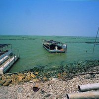In addition to raising tadpoles and fish, Qigu Lagoon also has a wave of eco-tourism. The lake boat in the photo was originally a tadpole used by fishermen to carry oysters. After conversion, it became a simple small yacht, carrying passengers to enjoy the aquaculture scenery of the lagoon.
