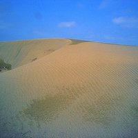 There are many shapes of sand dunes on the forehead sandbar, the crescent moon dunes in the photo. The windward side was eroded by wind, and the fine sand slowly moved backwards, and the slope became very smooth. On the leeward side of the other side, the slope is relatively steep.