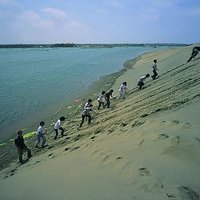 The sand bar next to Qigu Lagoon is provided by the coastal stream and the nearby Zengwenxi estuary. The sand bar is separated from the Taiwan Strait by the accumulation of wind. Some people in the photo are moving on the dunes, which can be used as a scale to estimate the height of the dunes, which is about ten meters.
