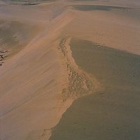 平直的沙丘面對風力吹拂，比較鬆散的地方先開始被風吹走而慢慢後退，慢慢的形成沙丘，成為台灣西南沿海的地景。
