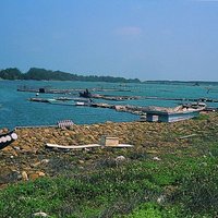七股潟湖同時擁有海洋與湖泊的生態環境，大量的浮游生物聚集。當地漁民利用這個先天優勢進行養殖漁業。本照片中呈現著嘉義、台南沿海典型的地形景觀。
