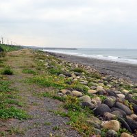 The Qingcaolun Coast of Tainan starts from Luermenkou in the south and reaches Zengwenxikou in the north. It is about 5 kilometers long. This section is a pebble slope seawall. And beautify the coast.