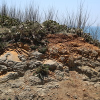 仙人掌長在球形玄武岩上
澎湖海洋地質公園的岩石