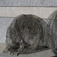 A net for catching lobsters