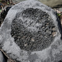 蜂窩風化
貓空岩是岩石的本地名稱，其表面上有許多小孔。 湖津島以其眾多的毛孔岩而聞名。 毛孔岩是各種風化和侵蝕過程的產物。 它們主要包括生物過程和鹽過程。 海膽和藤壺發出的酸會增強風化過程。