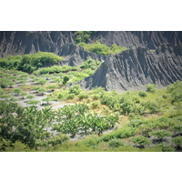 Kaohsiung Tianliao Badlands farming (photo by Kaohsiung Mudstone Geological Park)