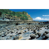 鼻頭角蕈狀岩 (東北角暨宜蘭海岸國家風景區管理處提供)